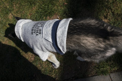 08Feb2026 PROTEST ICE BEFORE SUPER BOWL-Redwood City  (ProBonoPhoto/Sonny Mencher)