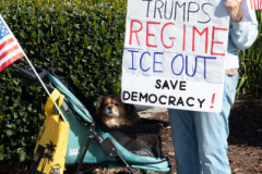 Redwood City Anti_Ice Protest 2/8 Probonophoto.org, Don Rasmussen