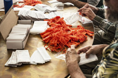 13Feb26PV-KnowYourRightsKits