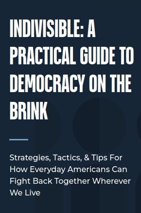 Indivisible: A Practical Guide To Democracy On The Brink